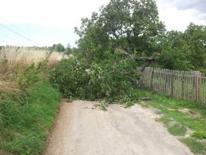 Feuerwehr Stecklenberg