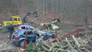 Baumbruch auf PKW 1